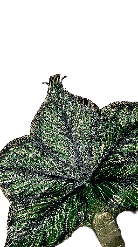 Leather hand fan handmade